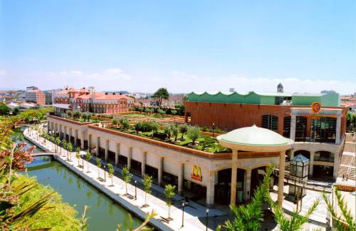 Bird’s Home - Foto 37