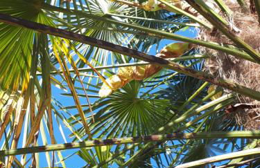 Quinta do Mirante - Foto 68