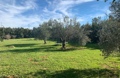 OLE TÚ ANDALUCIA - Foto 51