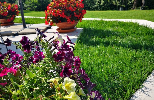 Mise Luxury Apartments - Foto 38