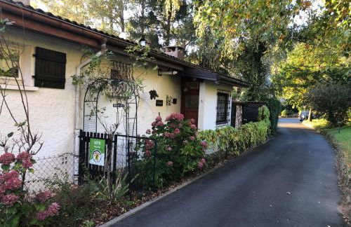 LE PETIT RENARD - Photo 24