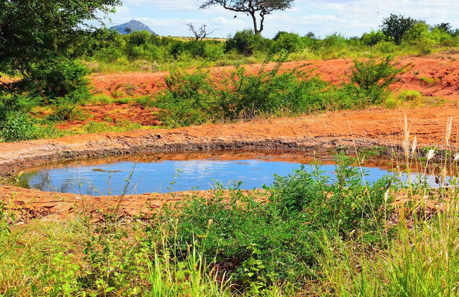 Boma Simba Lodge - Foto 22