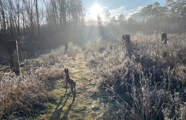 Regal Apartment in Pracht With Garden and Grill - Foto 36