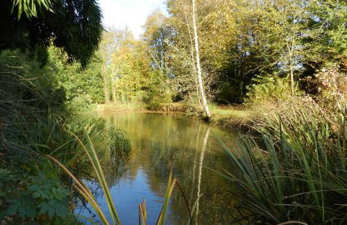 Gîte La Grenouillère - Foto 66