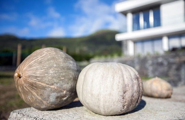 Make It Happen Farm - Foto 12