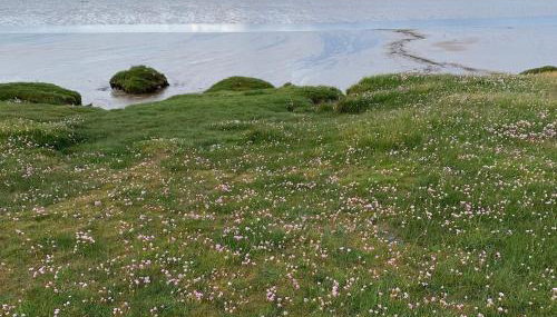 Rose cottage on the peaceful solway coast - Foto 5