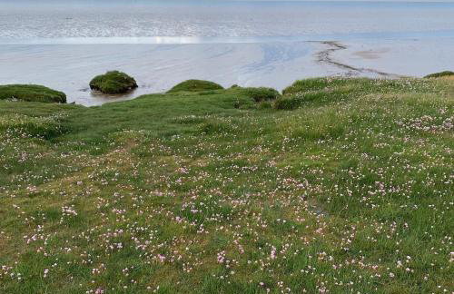 Rose cottage on the peaceful solway coast - Foto 5