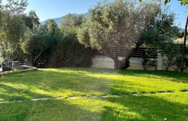 Villa Liana - Photo 4