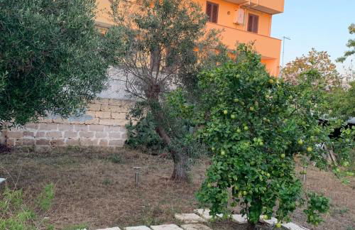 Relax Torre lapillo - Foto 7