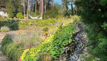 Heide Suite am Waldrand - Foto 4, Garden, Garden view
