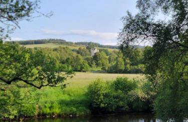 'Wee Smiddy' Shepherd's Hut - Sauna - Yoga - Wild Swim - Foto 7