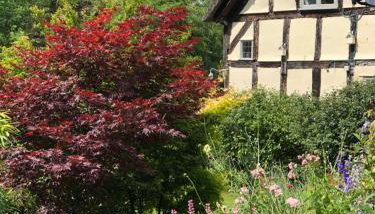 The Steppes Holiday Cottages - Foto 4