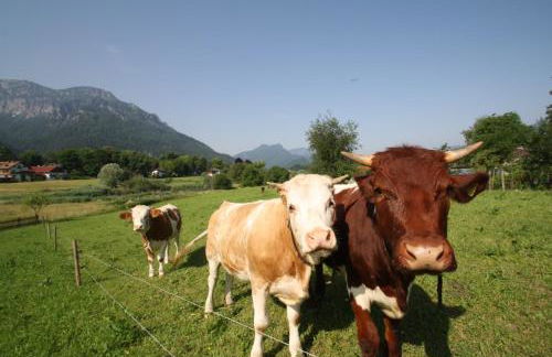 Bachbauernhof - Foto 4