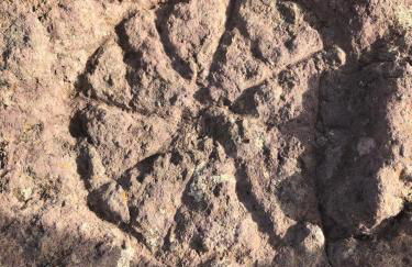 Casa Rural El Horno Masca - Foto 40