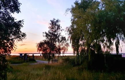 Werder Chalet -- WOLKE 7 -- Ostsee-Strand 150m I Sauna I eKamin I Tiny House für 2 Personen I by "Meyers am Meer" - Foto 41