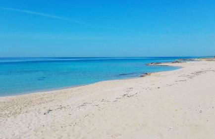 Villa tra gli ulivi - Foto 50