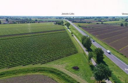 Agriturismo Le Cipressine - Foto 8