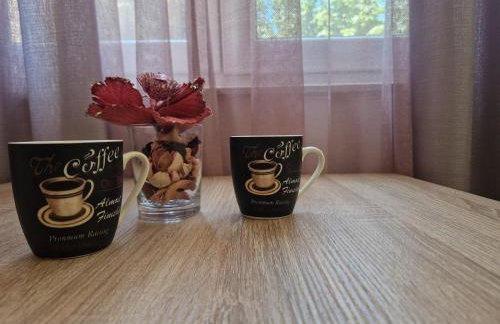 Sobe i apartmani Tena - Foto 27