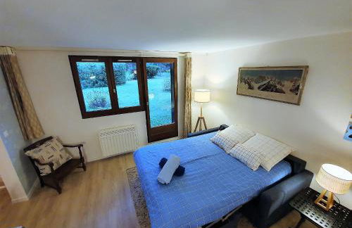Chamonix Appartement Vue Mont Blanc avec jardin - Foto 15