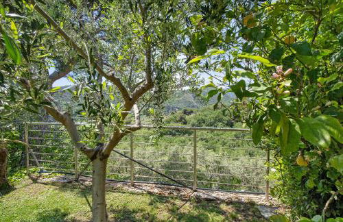 Casa Rosmarino - Foto 23