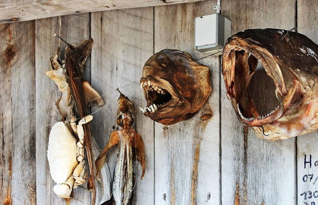 8 Person Holiday Home in Vagland-by Traum - Photo 43