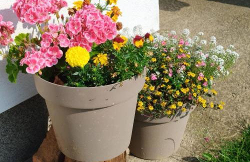 Three Little Birds Suite - Foto 30