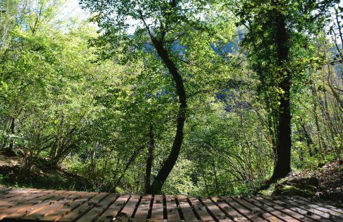 OASI LIGNANA Country Chic Apartments, nestled in a 40-hectare estate - Foto 6