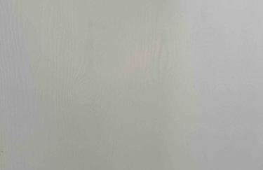 A Gem Central to Canton, Westland Livonia - Foto 17