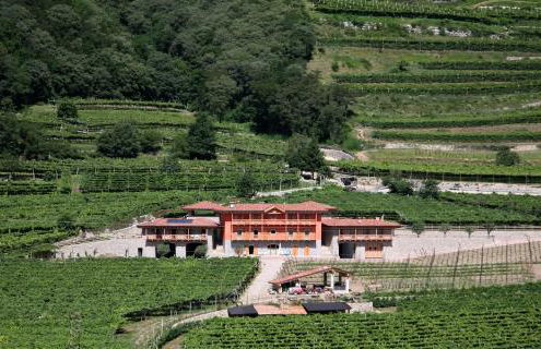 Maso Fiorini - Photo 59