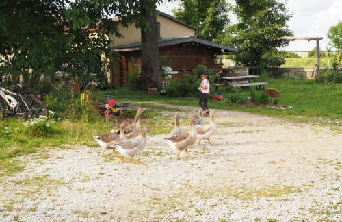 Romantische Wohnung Bauernhof, 100m2 offenes Dachgeschoss - Foto 45