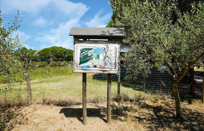 Apartment in Castiglione Near Lake Trasimeno - Foto 11