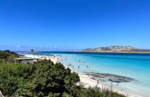 Lady Genny - Foto 48