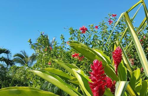 Magical VILLA CASA KOI in Sao Bras de Alportel - Foto 24