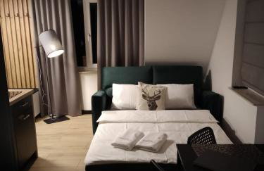 Apartamenty Drewno i Kamień - Foto 10