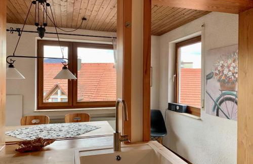 Deluxe Business City Apartments Metzingen Villa Landenberger - Foto 65