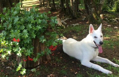 Apartments Bramado - Foto 28