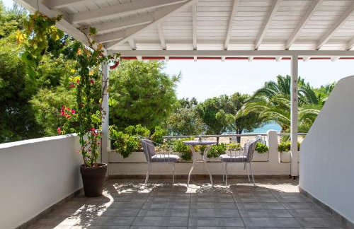 Acapus Studios - Foto 40