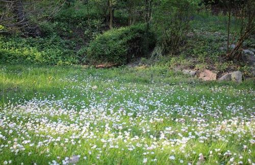 Gruböder Bauernhaus - Foto 8