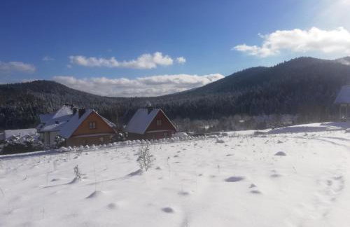 Domek w Cisnej pod Honem 2 - Foto 30