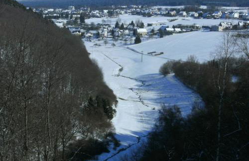 Morbach Hillside Mansion - Foto 55