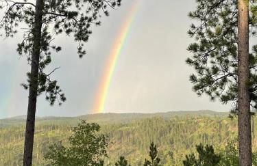 Gold Nugget Lodge Near Deadwood on 5 Wooded Acres! - Foto 45