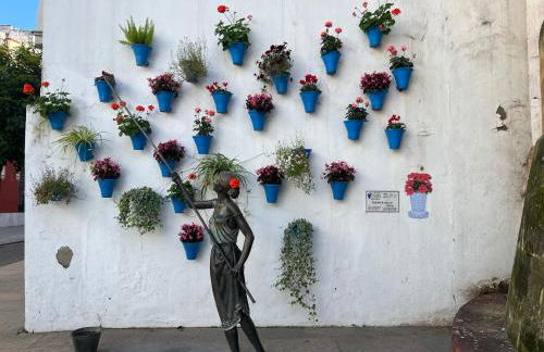 La Carmela - Casco Histórico con PARKING privado y vistas - Foto 29