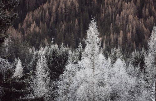 Apartments Knappenhof Pfitsch - with Swimming Pool - Foto 24