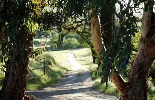 Eco-Friendly Vacation Rental with a Saltwater Pool Ideal for Weekend Trips from San Jose - Foto 24