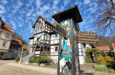 Haus Am Beckerberg im Harz - Foto 41