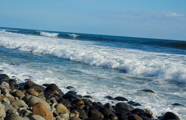 Tropical Escape @ Sunzal Surf City - Photo 32