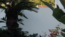 Casa da Avó Biza - Foto 2, Garden