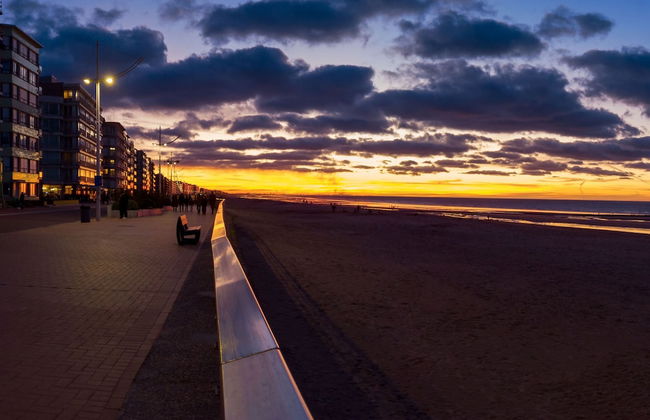 Ster Der Zee On Sea Shore - Foto 19