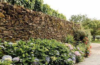 Casa das Nogueiras - Foto 51