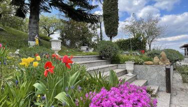 Mazzetti Country House-Vita in campagna con giardino - Foto 2, Garden, Garden view